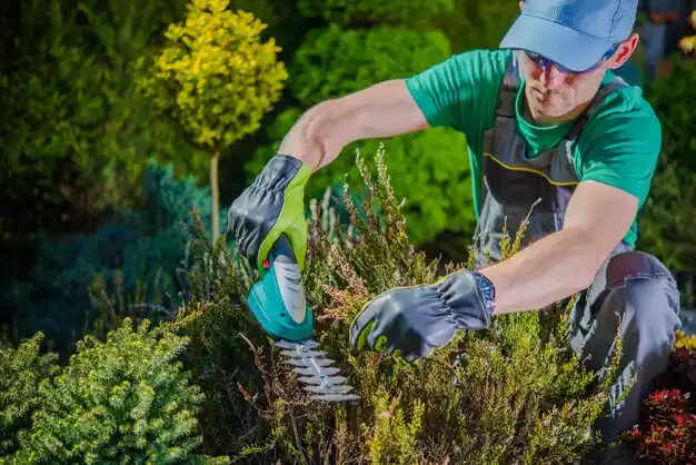 landscaping services Lake Katrine